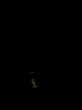 alicancetin11 online show from April 2026 07:30:02 PM