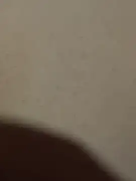 Snapshot of Mr_beast_09 chatting on June 2026 04:42:02 AM Mr beast 09 online show from June 2026 04:42:02 AM
