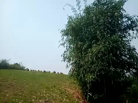 jikey-bibi online show from April 2026 02:17:02 AM