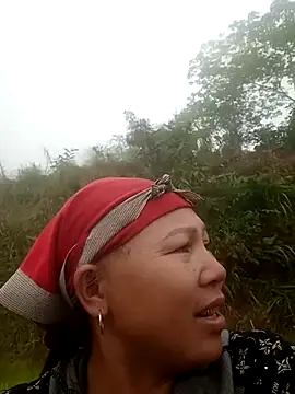 jikey-bibi online show from April 2026 09:08:01 AM