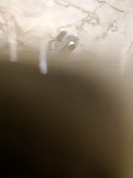 OBengaliBabuO online show from March 2025 12:34:02 AM