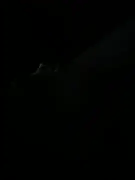 shykinks online show from June 2026 04:12:02 AM