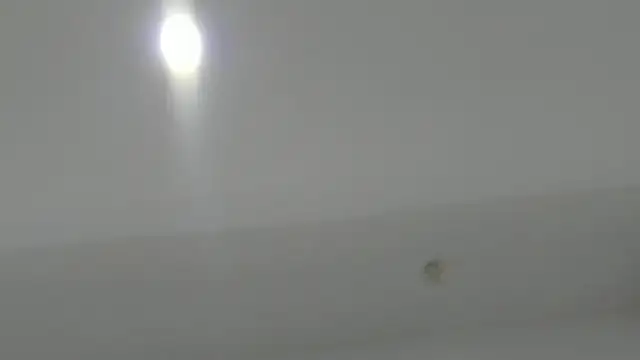 angel of sinn online show from April 2026 04:52:02 AM