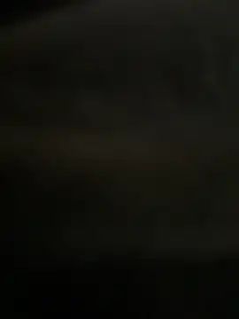 Noah-ledom online show from April 2026 11:46:02 AM