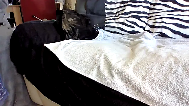 Beseb2 online show from April 2026 01:03:02 PM