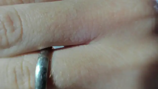 Venus atler online show from April 2026 12:20:02 PM