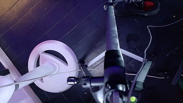 Damian nix online show from April 2026 05:27:01 PM