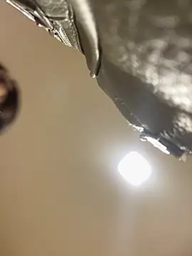 Selene  Ferrer online show from April 2026 01:56:02 PM