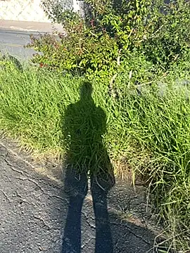 Cs-18 online show from April 2026 06:42:02 PM