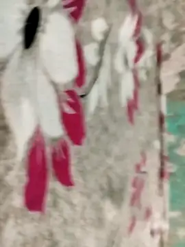 badmasss69 online show from April 2026 10:01:02 PM