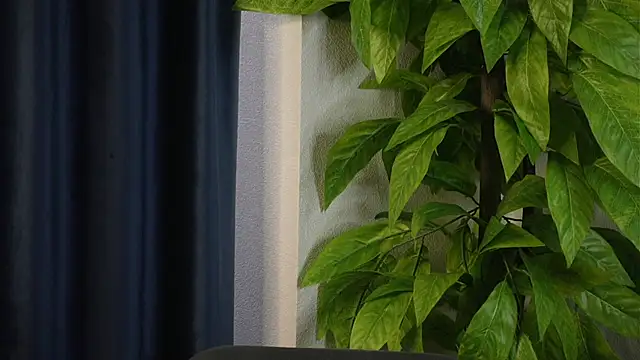 SelmaHjort online show from April 2026 11:52:02 AM