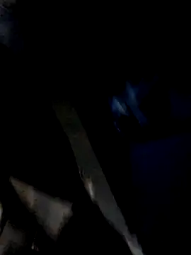 pasivagordita online show from July 2026 09:37:02 AM