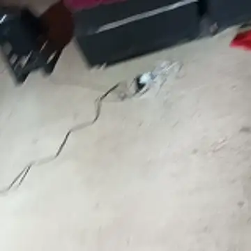  - - putinha -  online show from April 2026 11:23:02 AM