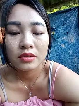 Pivi12 online show from May 2026 12:17:02 AM