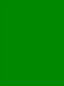 pat10x online show from May 2026 04:03:01 PM