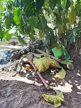 Snapshot of Emilysexy_cut chatting on May 2026 05:14:02 AM Emilysexy cut online show from May 2026 05:14:02 AM