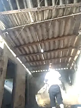 Seiciz online show from June 2026 09:45:01 AM