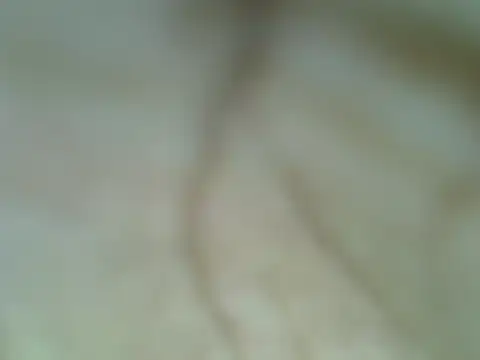 Night nurse 1 online show from July 2026 10:12:01 PM