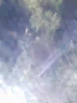 Snapshot of Philebranleur chatting on July 2026 09:17:01 AM Philebranleur online show from July 2026 09:17:01 AM