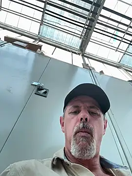 biggymemo online show from July 2026 04:38:02 PM