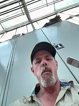 biggymemo online show from July 2026 04:17:01 PM