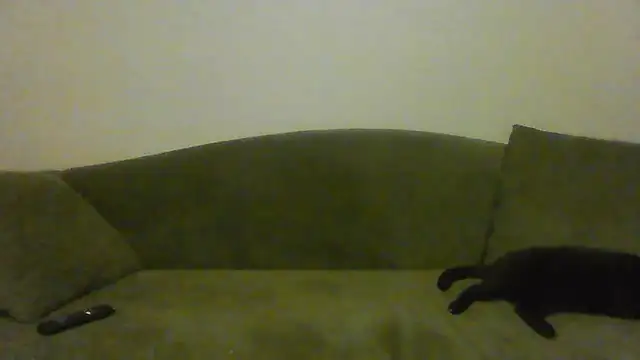 BuddingRose2323 online show from July 2026 02:53:02 AM