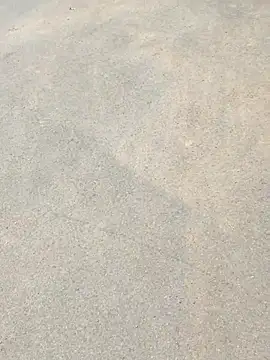 Snapshot of sexyboysam01 chatting on July 2026 06:47:02 AM sexyboysam01 online show from July 2026 06:47:02 AM