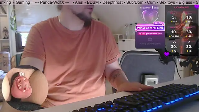 Panda-WolfX online show from July 2026 04:33:02 PM
