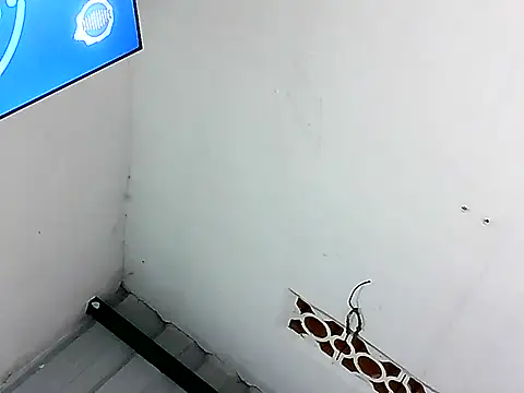 alice morr online show from July 2026 04:48:01 AM