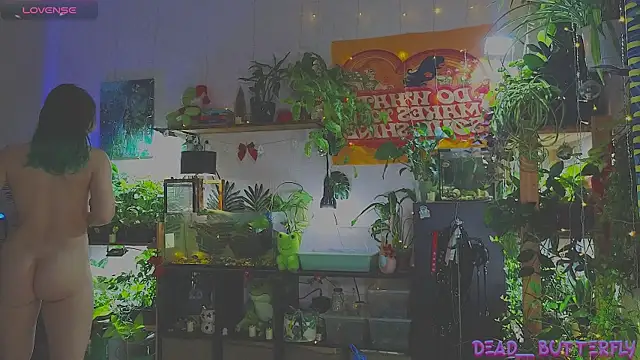 Dead Butterfly online show from January 2025 03:28:02 AM