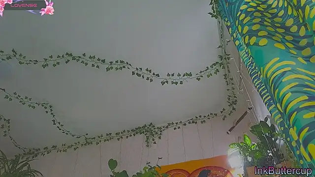 Dead Butterfly online show from September 2025 03:32:01 AM