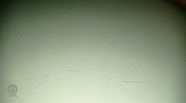 Just for trans online show from February 2025 03:10:02 PM