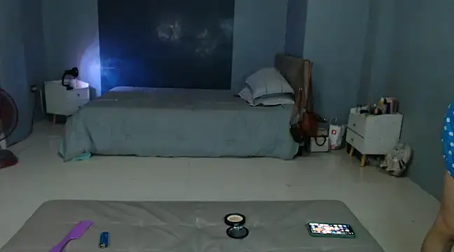 Snapshot of _FoxyFlair chatting on February 2025 08:50:01 PM FoxyFlair online show from February 2025 08:50:01 PM
