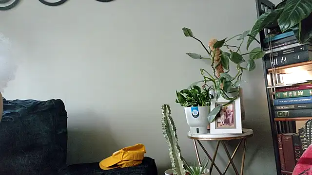 bestofdoseswirls online show from April 2026 06:30:01 PM