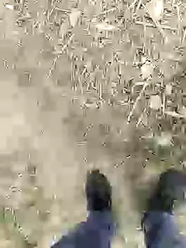 ThethunderPo online show from January 2025 02:46:01 PM