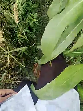 ThethunderPo online show from March 2025 02:50:01 AM