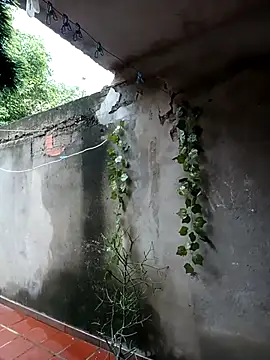 Camilatinass  online show from April 2026 11:55:02 AM