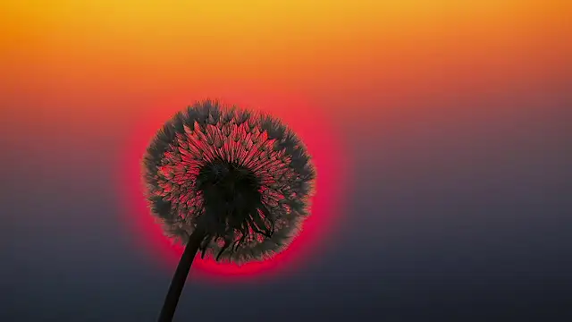 Sunning2 online show from September 2025 09:22:02 AM