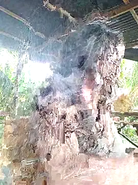 loveuu-bae online show from October 2025 09:35:02 PM