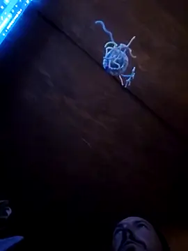 UncutHammer69 online show from April 2026 03:06:01 PM