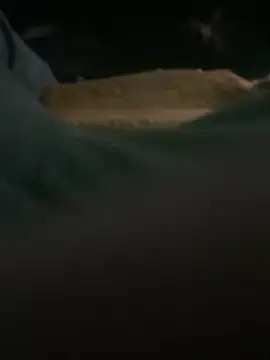 mikeylong online show from February 2025 03:54:01 PM