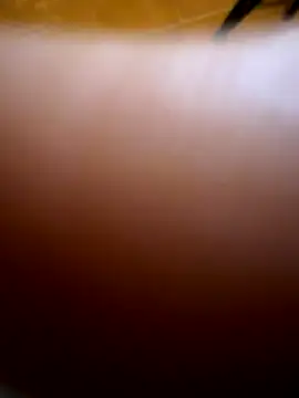 Snapshot of Wet-Pussycat chatting on December 2025 05:55:02 PM Wet-Pussycat online show from December 2025 05:55:02 PM