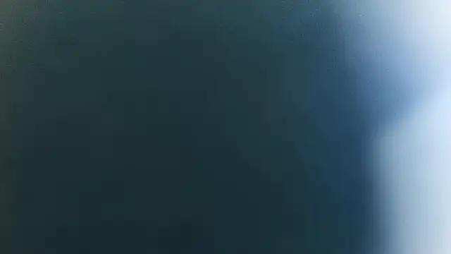 Snapshot of domjoab chatting on January 2025 10:33:02 AM domjoab online show from January 2025 10:33:02 AM