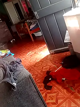 2soyte online show from September 2025 08:29:02 AM