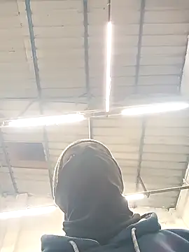 Bengali BULL1 online show from February 2026 08:56:02 PM