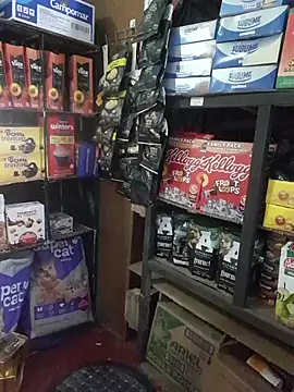 Kalani Engel online show from April 2026 05:29:01 AM