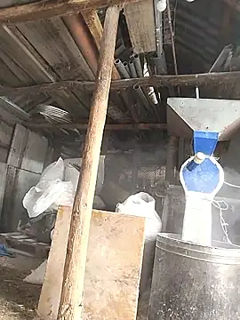 sarpe4 online show from January 2026 07:54:01 AM