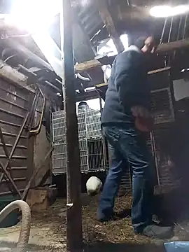 sarpe4 online show from February 2026 05:19:02 AM