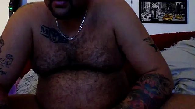 sexykevin17cm online show from April 2026 02:59:02 AM