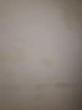 Adivaaa online show from October 2025 09:10:01 AM